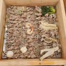 동탄대로 L 이미지