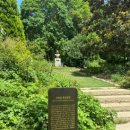 청남오리 이미지