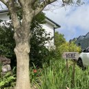 신효동-18 이미지