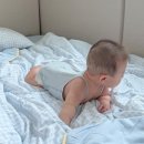 바디P.T | 한손 회전 때문에 선택한 싸이벡스 제로나T｜장거리 카시트 솔직 후기