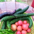 풍성농장 이미지