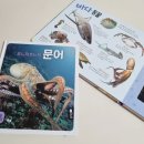 비비창의어린이집 | 블루래빗전집 블루래빗 생생자연관찰 두돌전집추천