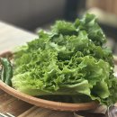 호호칼국수 | 전주 호호칼국수 방문 후기, 든든한 한 끼에 보리비빔밥까지 무료