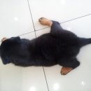 카리스마안경원 이미지