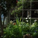 꽃품은 설기 이미지