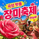 순천만습지위원회 | 주말에 갔다가 주차 지옥 됩니다ㅣ2026 곡성 세계장미축제 일정·입장료·개화상황·동선 총정리