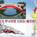 굿피트 이미지