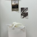 세종백일떡, 단화정! 깔끔하고 예쁜 떡, 그래서 결혼떡으로도 선물하기 좋아요 :-)