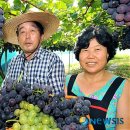 최정용 농장 이미지