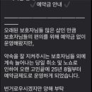 다온그루밍 이미지