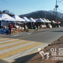 일등장터 이미지