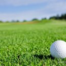 신안골프 이미지