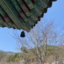청도 보림사 이미지
