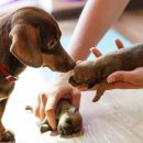 메디컬조의원 이미지