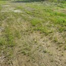 양평한울공인중개사사무소 이미지