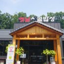 대한민국맛집주