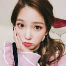 뉴지니