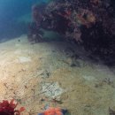 백운포로 이미지