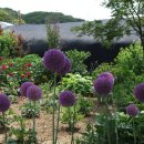 고삼마을펜션 이미지