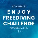 초당 | 프리다이빙 인도어 대회🏅[ENJOY FREEDIVING CHALLENGE 아피아 인블루] 참가 후기