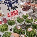 수박 🍉 😱...앙증맞다.😆 이미지