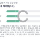 시온PT