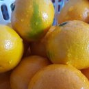 월곶풍림1차후문상가 이미지