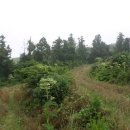 대평리마을회관 이미지