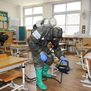 대전느리울초교 이미지