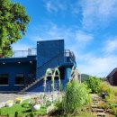 알지니포레스트 이미지