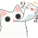 보성휴먼 이미지