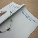 문학과 함께하는 아름다운 시낭송 | [독파 앰배서더] 여름 시 추천🍉 문학동네 시인선 &lt;여름은 사랑의 천사&gt; 필사, 감상 후기