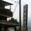 (주)자연촌 Daum카페