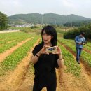 선향농장 이미지