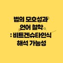 법의 모호성과 언어 철학: 비트겐슈타인식 해석 가능성