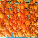 금주농장 이미지