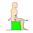 The Passive Straight Leg Raising Test (PSLR) 이미지