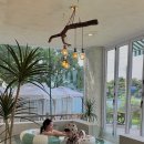 도고소풍스테이 이미지