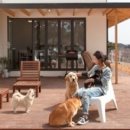 애견민박 멍집 이미지