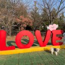 다람산근린공원 게이트볼장 | 인천 서구 최초 반려견 놀이터 탄생⭐️원신근린공원 반려견놀이터 주차, 방문 후기