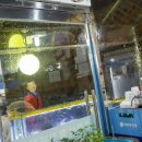 군산수족관 이미지