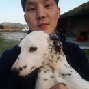 부국농장 이미지