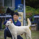 수조 이미지
