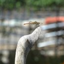 영월종교미술박물관 이미지