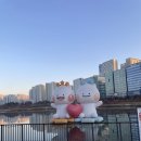 강동중학교 | [러닝코스 추천] 경기도 하남 미사 망월천 미사호수공원 (5km 코스)