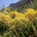 남면문화복지센터 풋살장 이미지