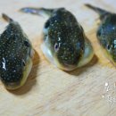 일품 복어 이미지