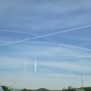 봄농약사 이미지