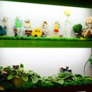 맘스터치 안성중앙대점 이미지