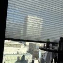 개편한카페 | 11/29 생일 축하와 함께하는 &lt; 3박 4일 삿포로 여행기 &gt; 2일차